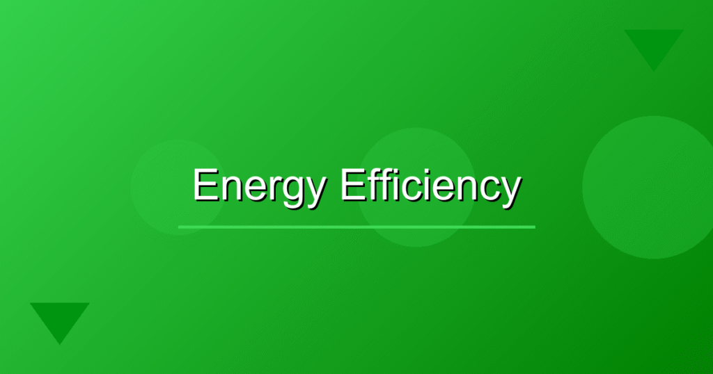 Efficient Energy Use: Boosting the Clean‑Energy Transition